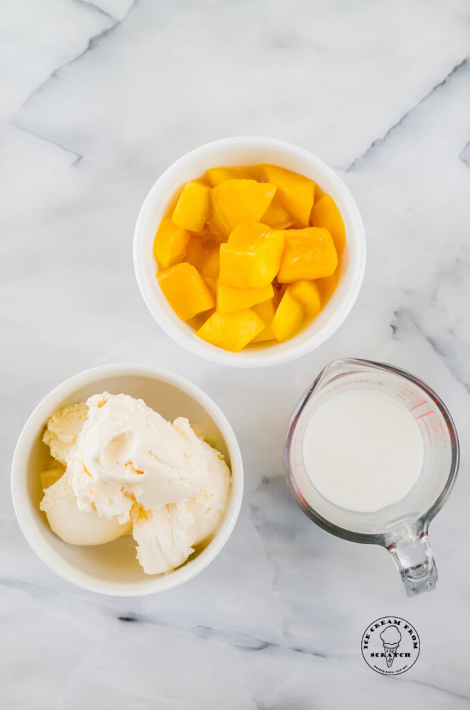 ingredients in a mango milkshake