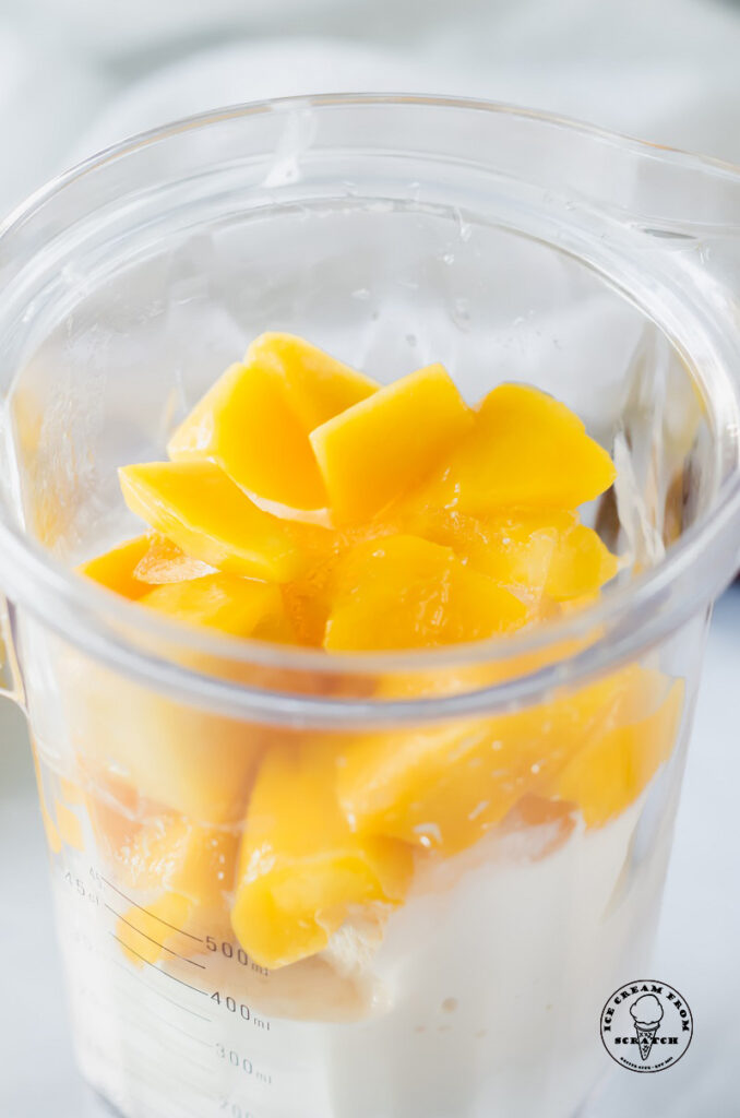 ingredients for a mango milkshake in a blender jar