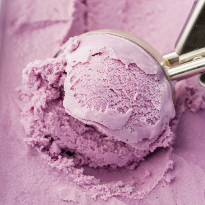 closeup of blueberry ice cream being served with a metal ice cream scoop.