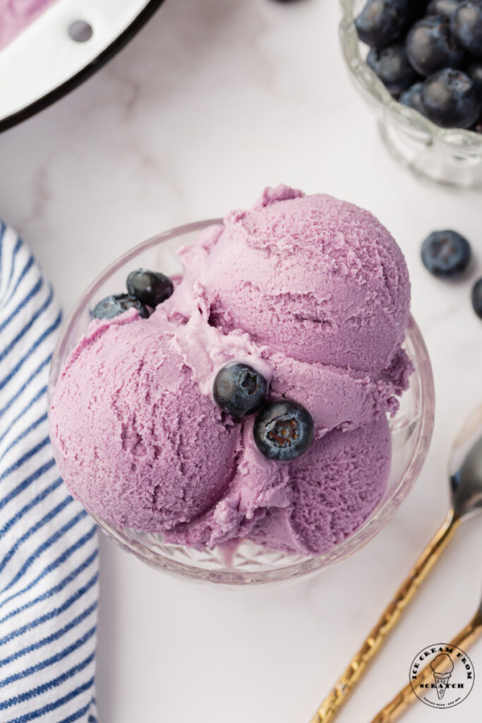a footed glass dish filled with three scoops of purple blueberry ice cream, with two berries on top. Viewed from above