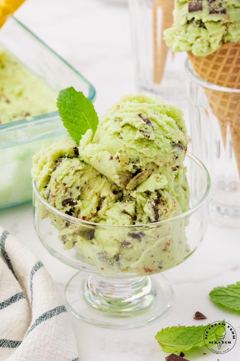 scoops of homemade coconut mint ice cream in a glass footed dish, garnished with fresh mint leaves.
