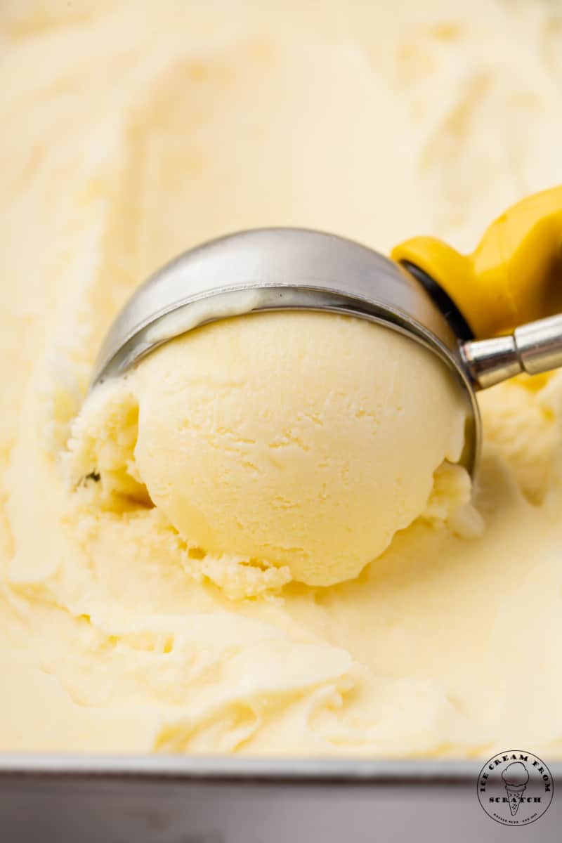 closeup view of a metal ice cream scoop scooping homemade mascarpone ice cream out of a metal loaf pan.