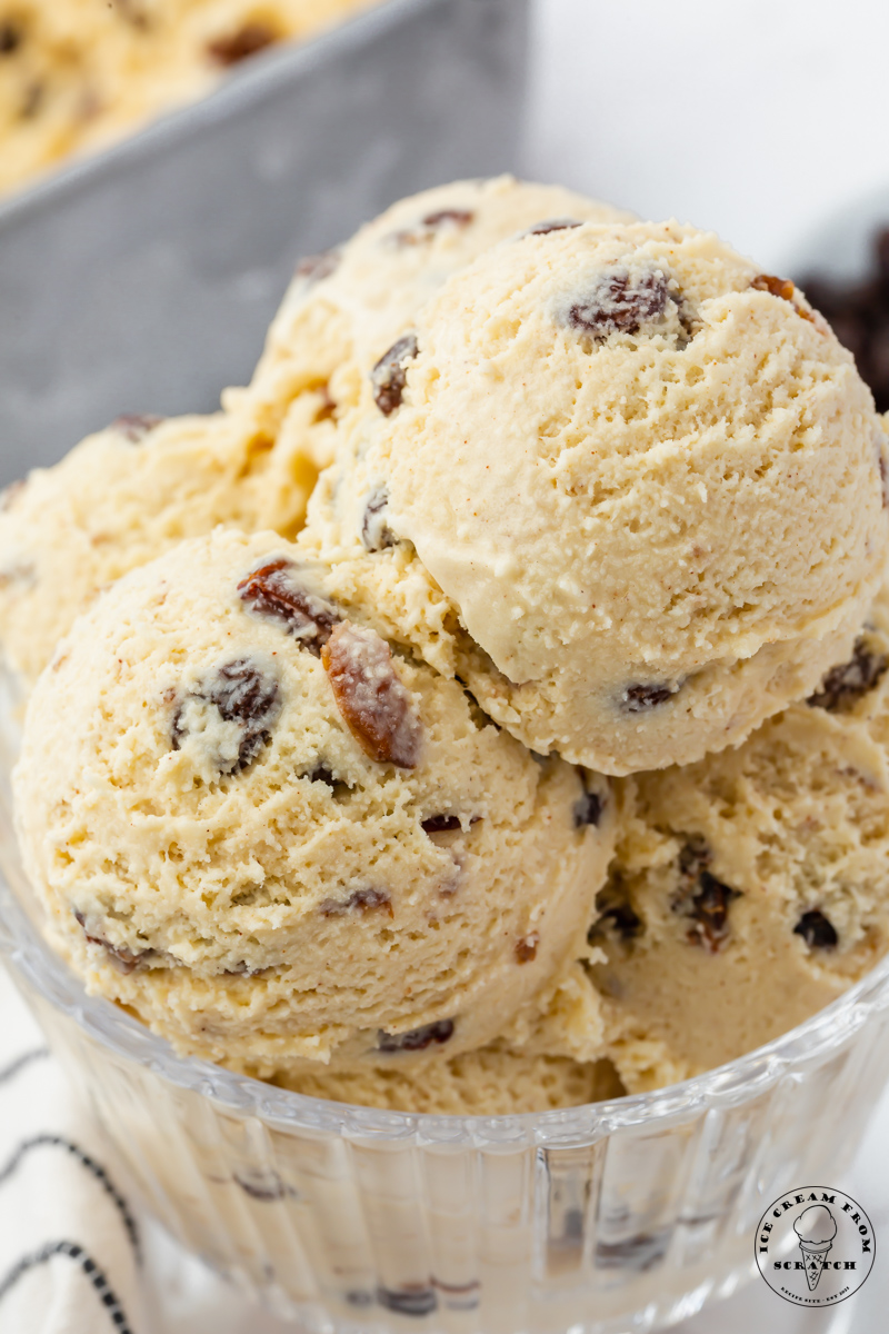 closeup of a bowl of run raisin ice cream