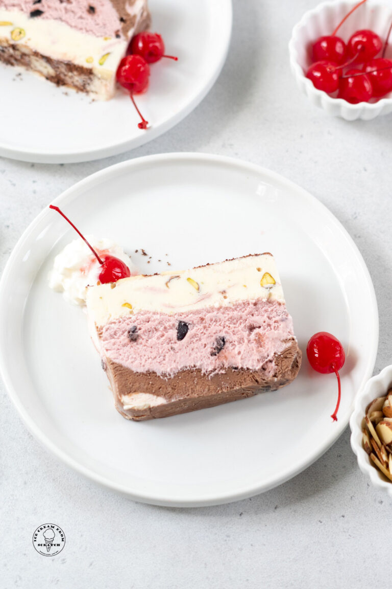 a white plate holding a slice of spumoni.