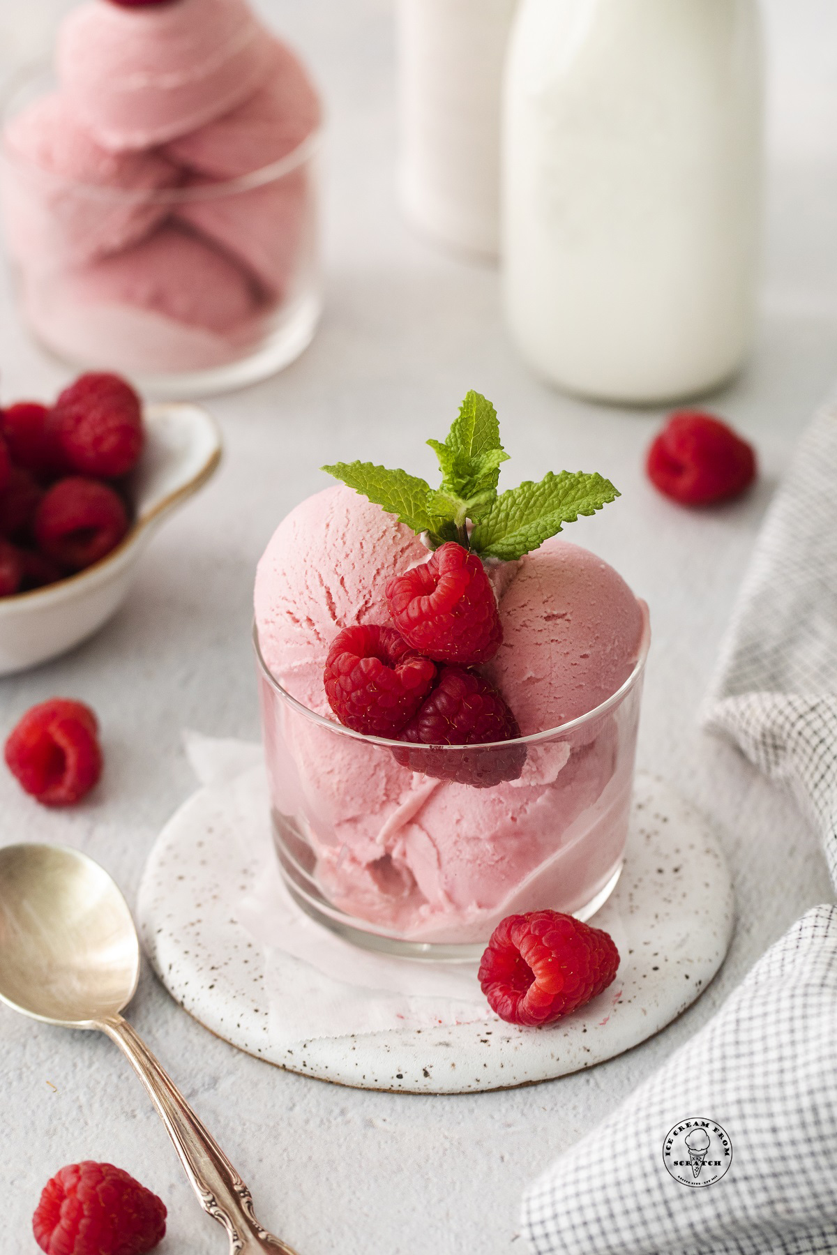 a short glass cylindrical bowl filled with scoops of homemade raspberry sherbet and garnished with fresh berries and a sprig of mint.