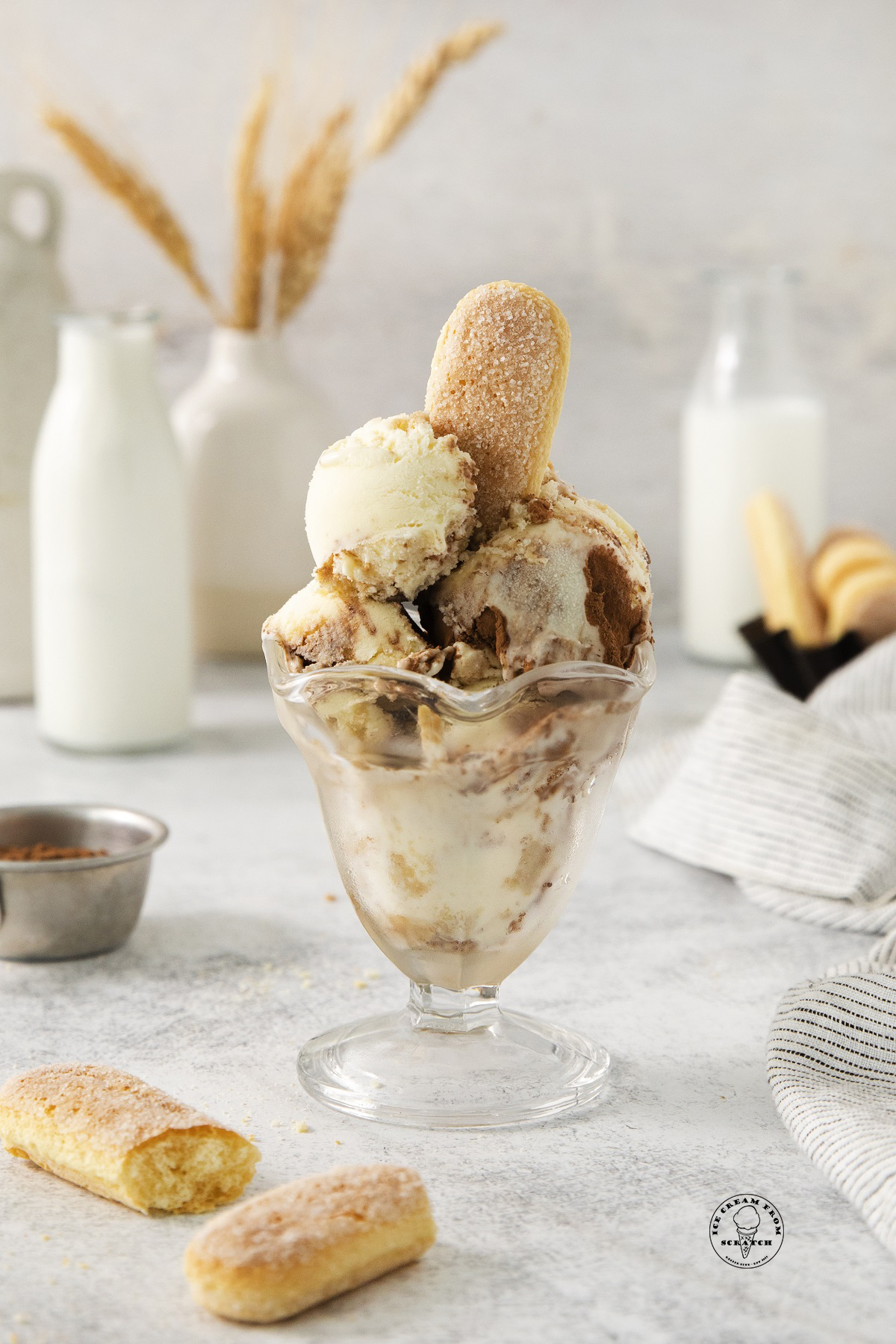 a footed ice cream dish filled with scoops of homemade tiramisu ice cream, with a ladyfinger as garnish.